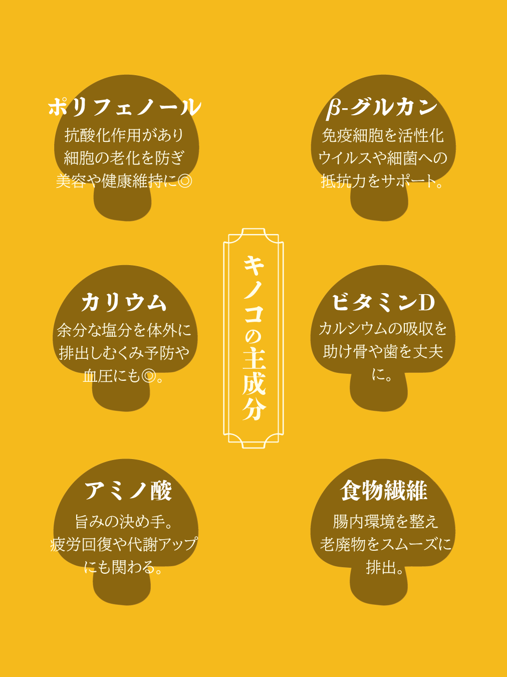 キノコの主成分