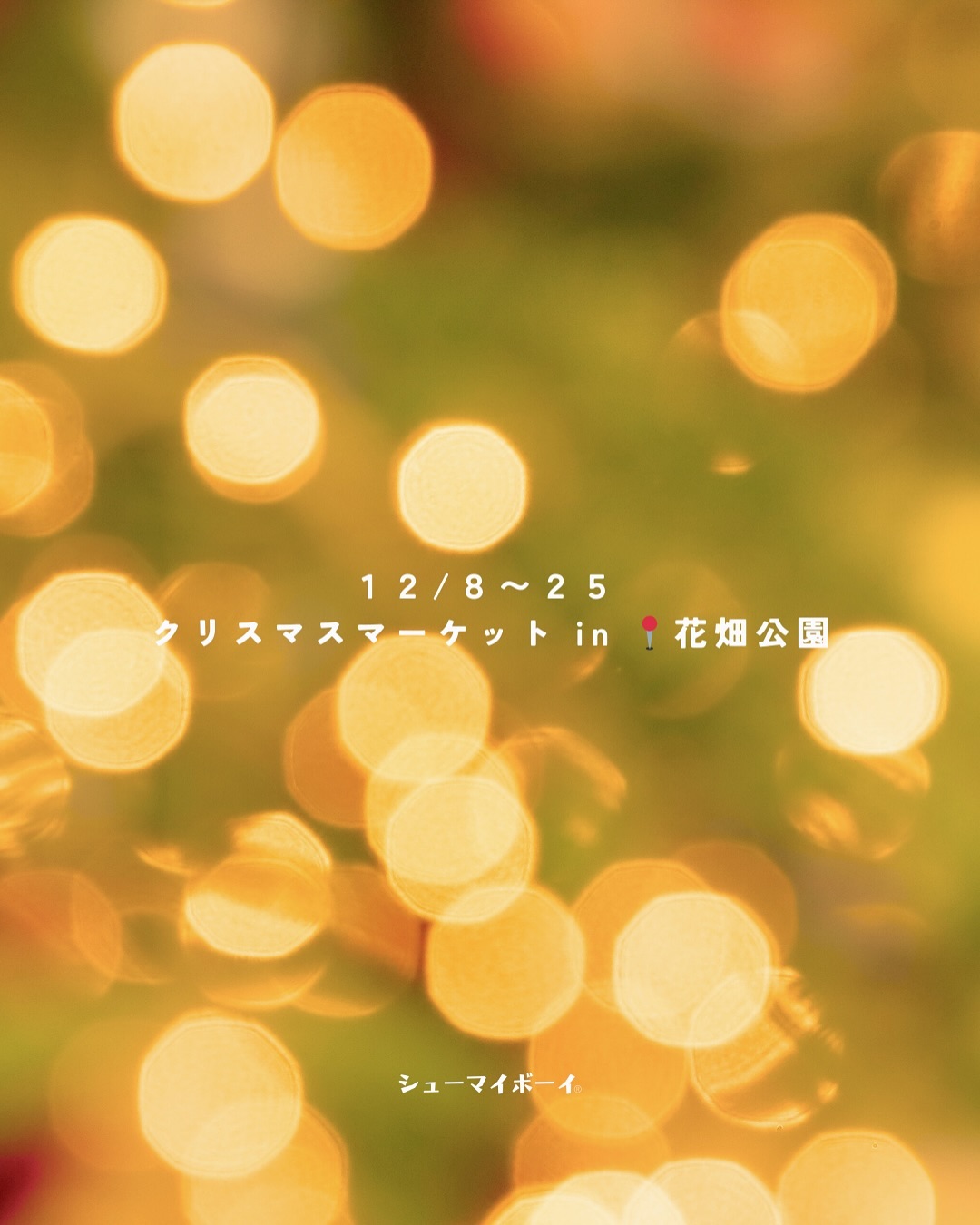 Instagramを更新しました！